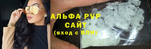 индика Арсеньев