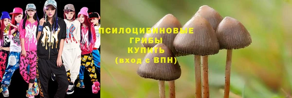 mdpv Армянск