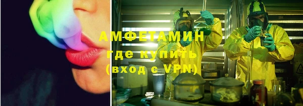 индика Арсеньев