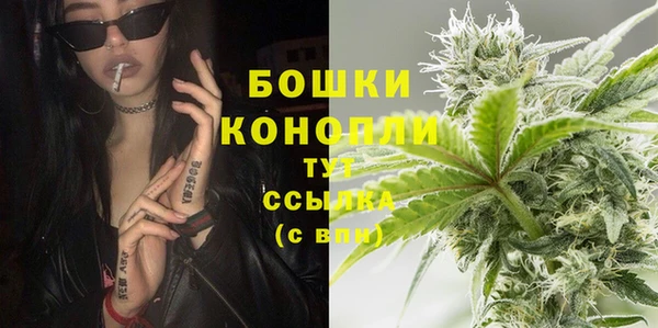 индика Арсеньев