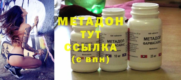 индика Арсеньев