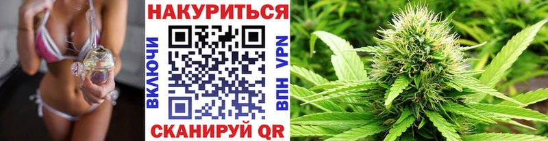 Бошки марихуана OG Kush Усть-Лабинск